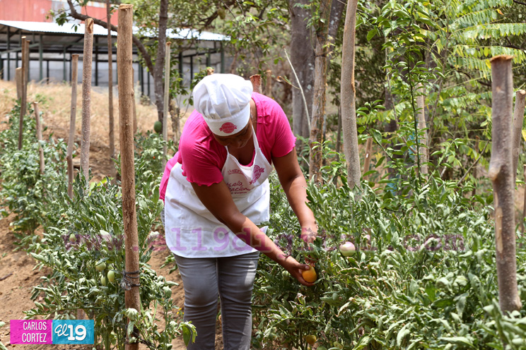Trabajadores en Parque Nacional de Ferias